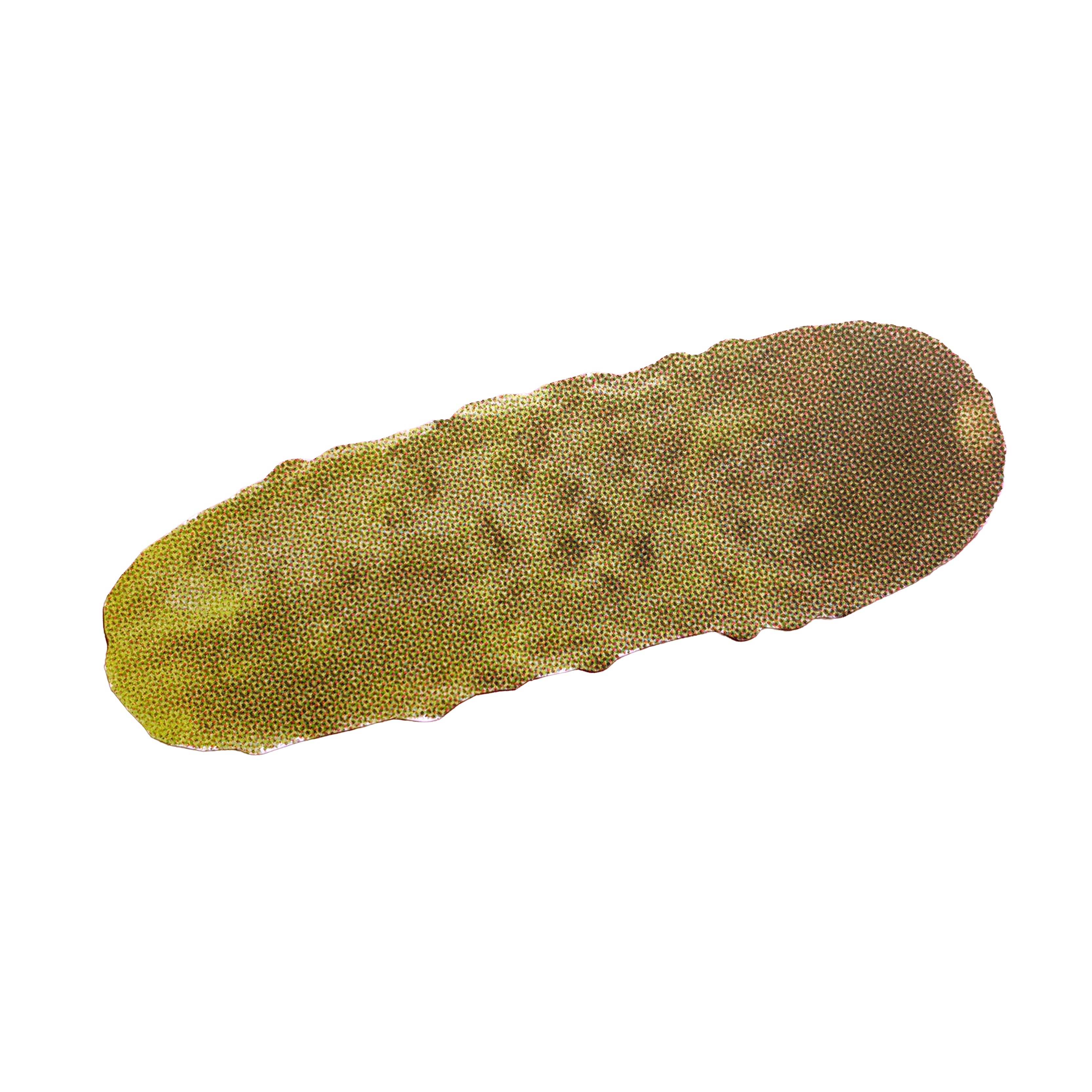 Retro NYC Pickle Postcard with Envelope