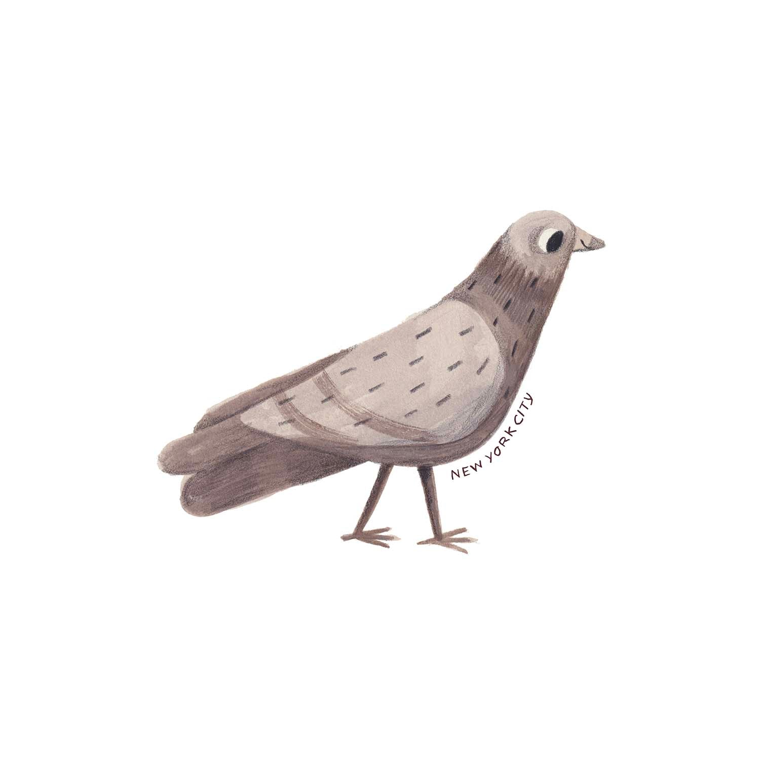 PIGEON NEW YORK CITY STICKER